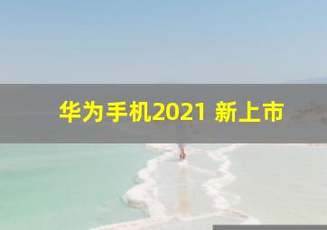 华为手机2021 新上市